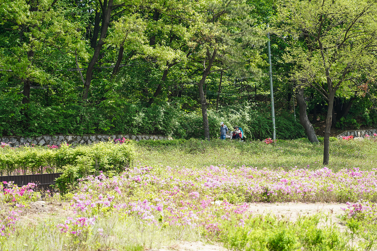 불암산 힐링타운 조성사업 주민설명회 - 7