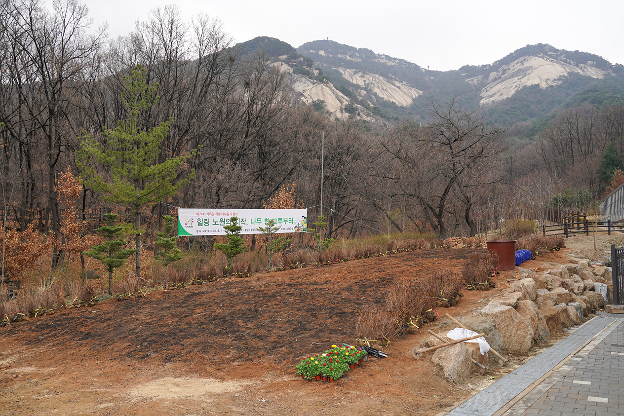 제74회 식목일 기념 나무심기 행사 - 7