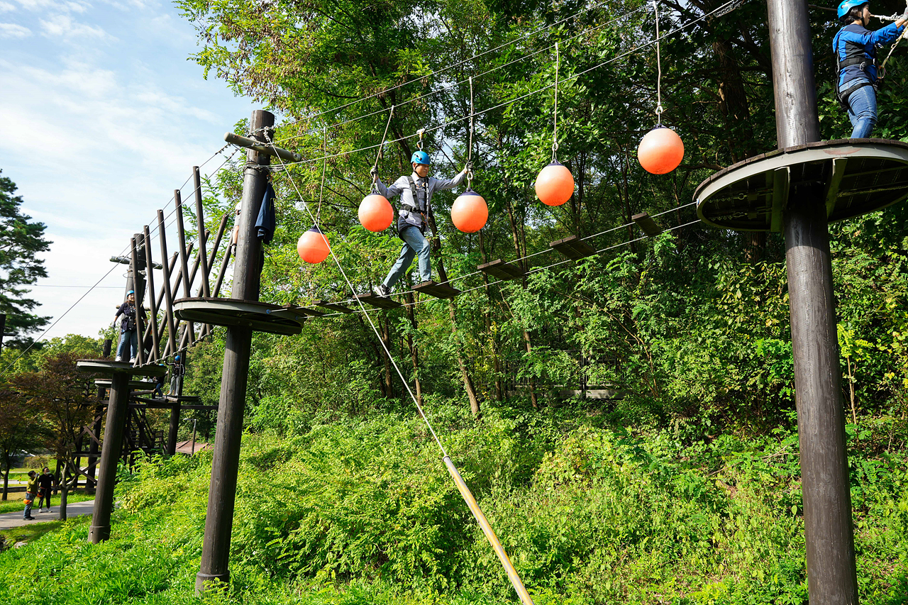 더불어숲체험장 현장방문 - 40