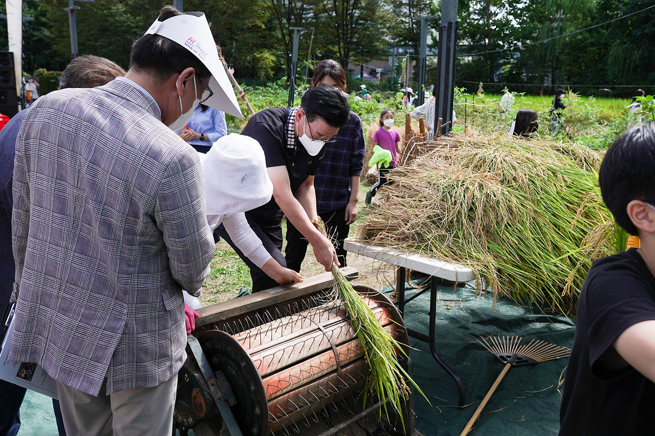 마들농요와 함께하는 벼베기 체험행사 - 16