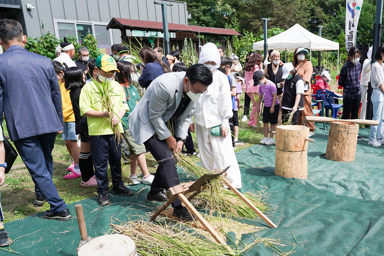 마들농요와 함께하는 벼베기 체험행사 - 18