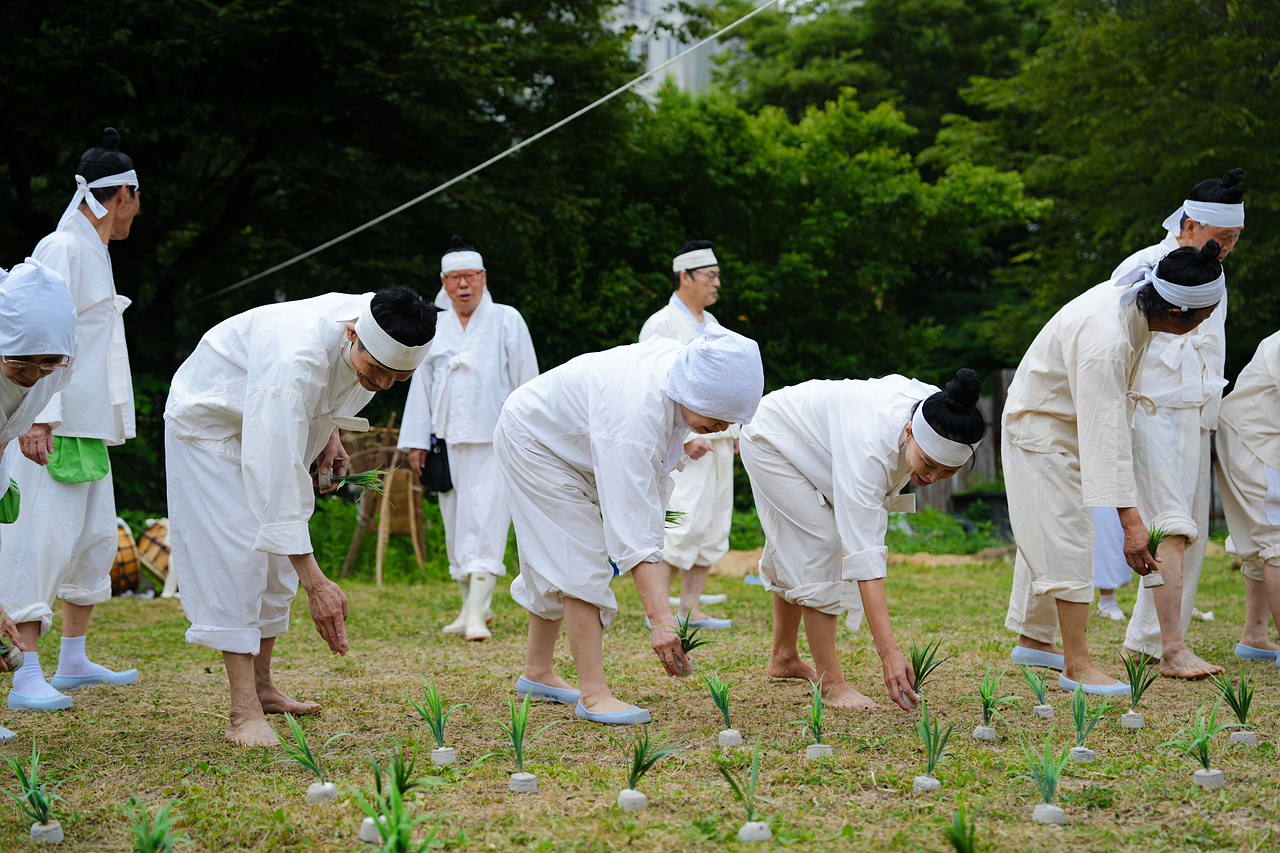 마들농요와 함께하는 모내기 체험행사 - 2