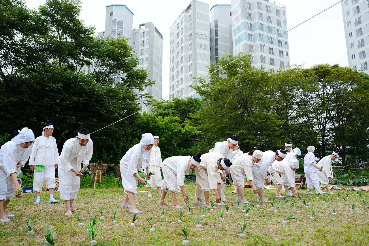 마들농요와 함께하는 모내기 체험행사 - 1
