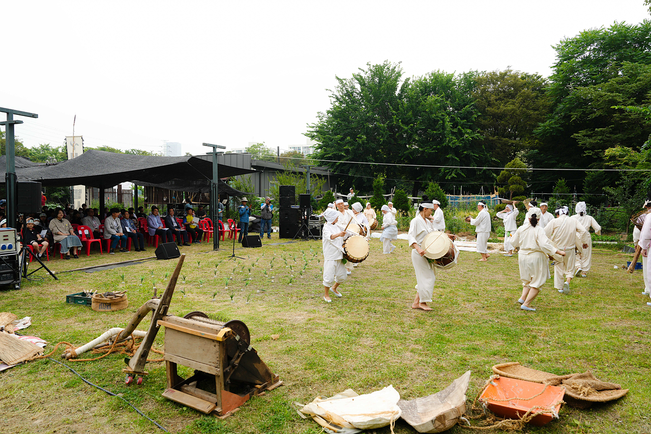 마들농요와 함께하는 모내기 체험행사 - 5