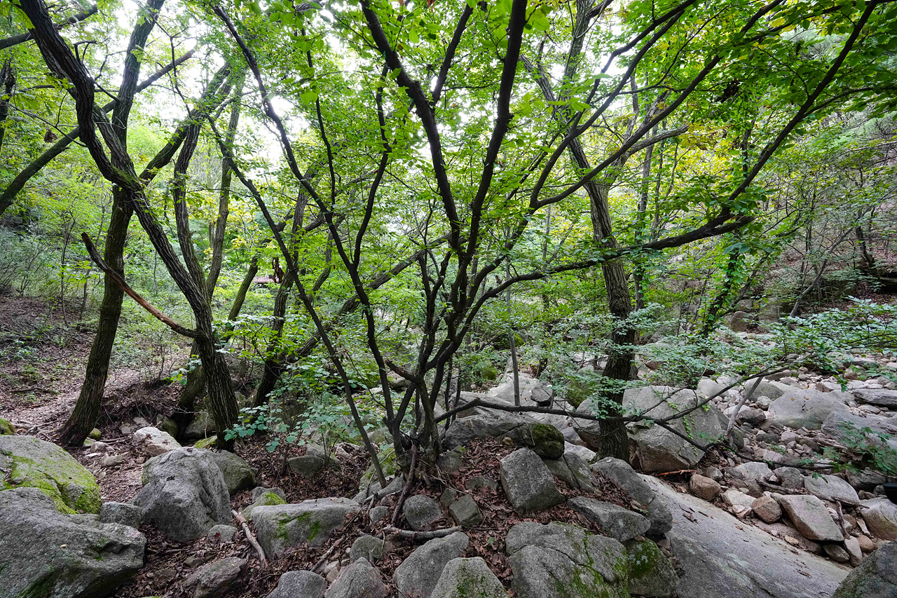 수락산연구소 현장방문 - 21