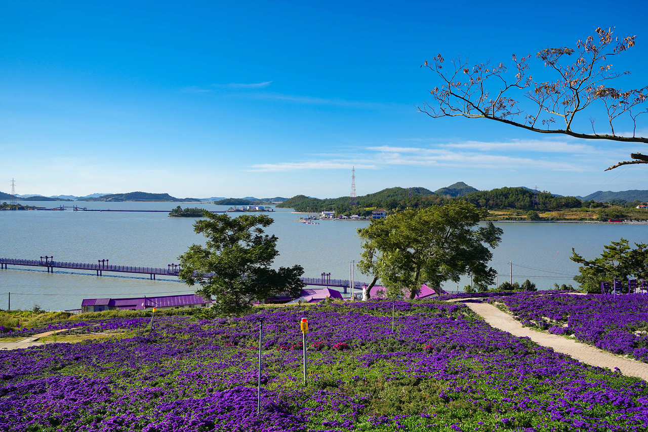 자매도시 신안군 명예섬 선포 제막식 - 28