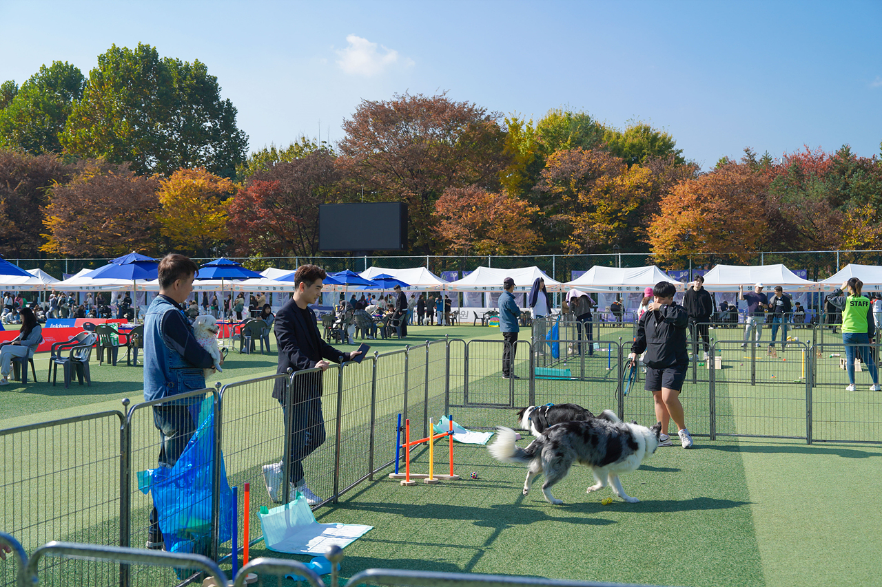 2023년 반려동물 문화축제 개회식 - 3