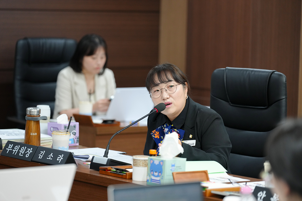 제284회 노원구의회 임시회 예산결산특별위원회 - 11