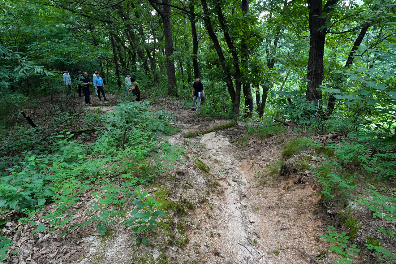 민원현장방문(중계본동) - 15