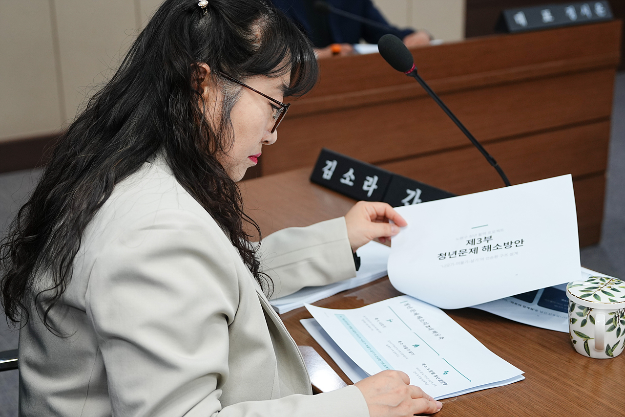 노원구 청년문제 고찰 및 해소방안 연구단체 최종보고회 - 4