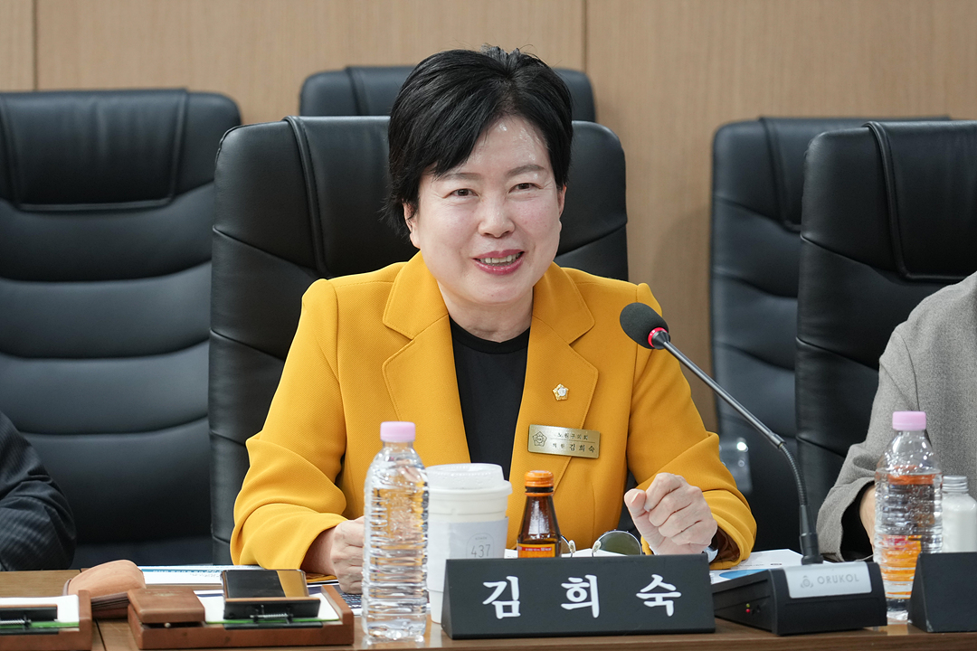 노원구 자원봉사센터 활성화 방안 연구단체 연구용역 최종보고회 - 12