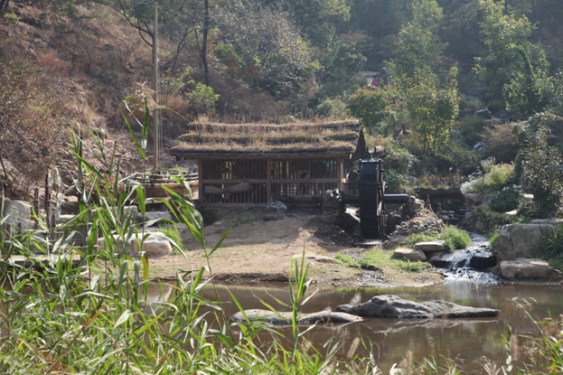 양제천,불광천 현방 방문 - 5