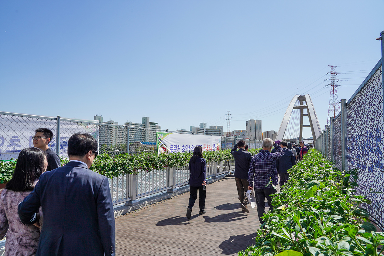 중랑천 초안산 앞 인도교(한내교) 개통식 - 7