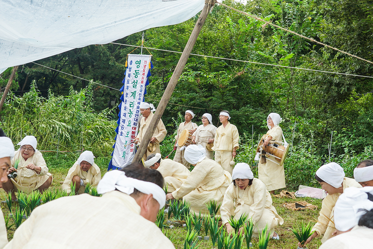 마들농요와 함께하는 벼베기 및 탈곡 체험행사 - 5