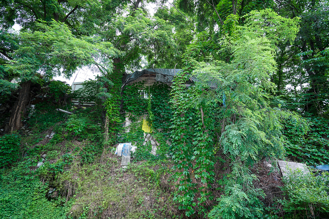 풍수해 대책 관련 현장방문(을 지역) - 7