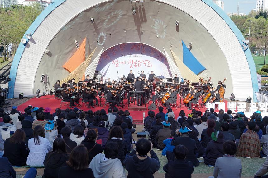 월계 벚꽃음악회