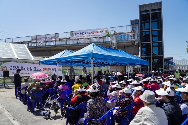 중랑천 초안산 앞 인도교(한내교) 개통식
